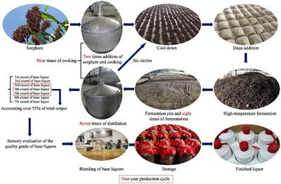 Comprehensive identification of key compounds in different quality grades of soy sauce-aroma type baijiu by HS-SPME-GC-MS coupled with electronic nose